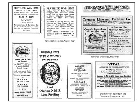 1.6: Stratigraphy - Geosciences LibreTexts - wintechmobiles.com