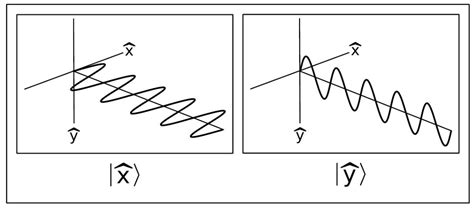 codini.rgarabwor.edu.pl. 