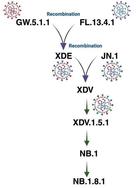 1.8 & 1.16 EFSANE GERİ DÖNDÜ.