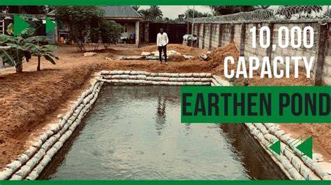 10,000 Capacity Earthen Pond Construction #catfish #pondfishing - raincitystudios.com