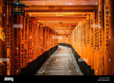 10,000 Reasons to See the Fushimi Inari Tori Gates