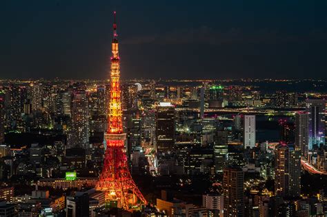 10곳 LIVE JAPAN 일본여행 추천명소 지역정보 >도쿄에서 후지산을