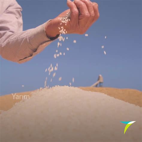 codini.rgarabwor.edu.pl. 