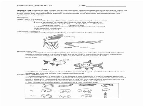 10++ Patterns Of Natural Selection Worksheet Worksheets Decoomo