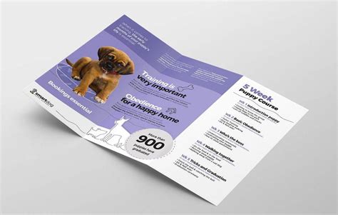 10+ Dog Show Brochure Examples to Download