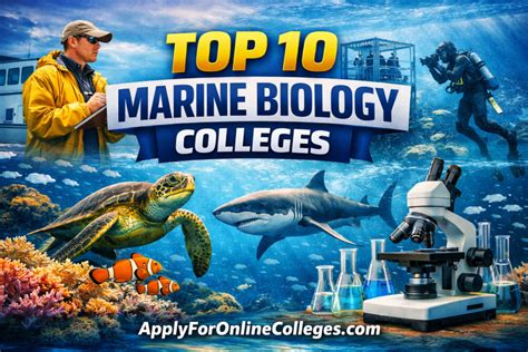10+ Marine Life Online Courses for 2026 - Class Central - raincitystudios.com