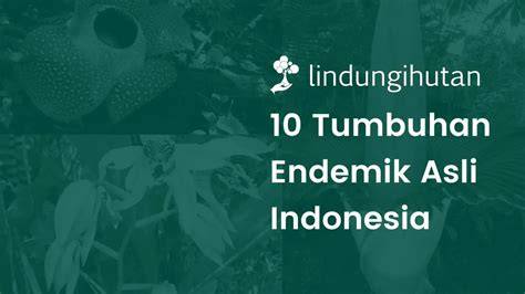 10+ Tumbuhan Endemik Asli Indonesia … - raincitystudios.com