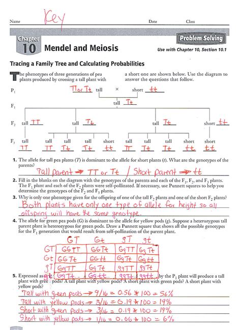 10 1 Mendel And Meiosis Worksheet Flashcards Quizlet Gregor Mendel Worksheet Answers - Gregor Mendel Worksheet Answers