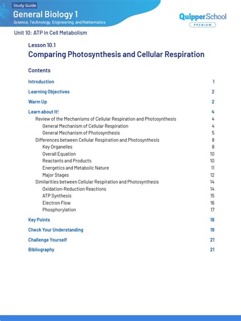 10 1 Study Guide And Intervention