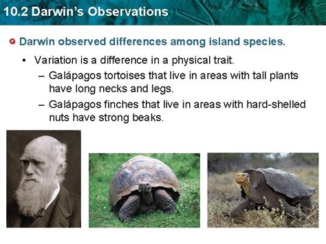 10 2 darwins observations power notes answers