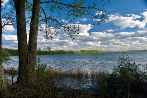 10 Awesome Things to Do at Alum Creek State Park Beach