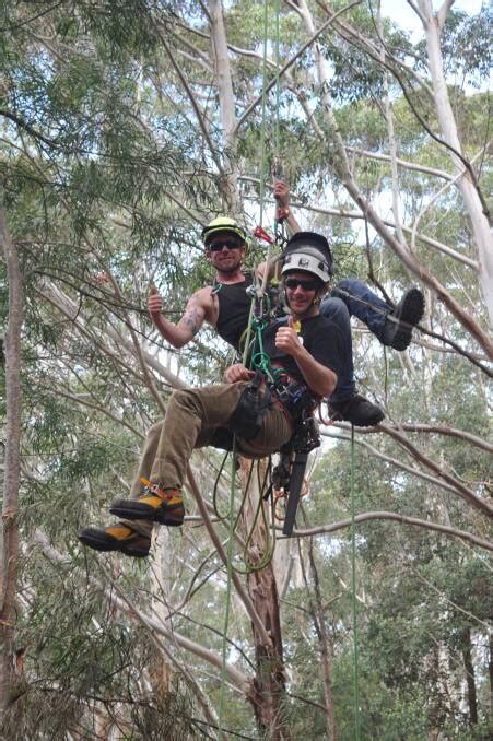 10 BEST Arborists in Nowra NSW [2024] Localsearch