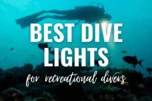 10 Best Dive Lights for Recreational Scuba Divers - raincitystudios.com