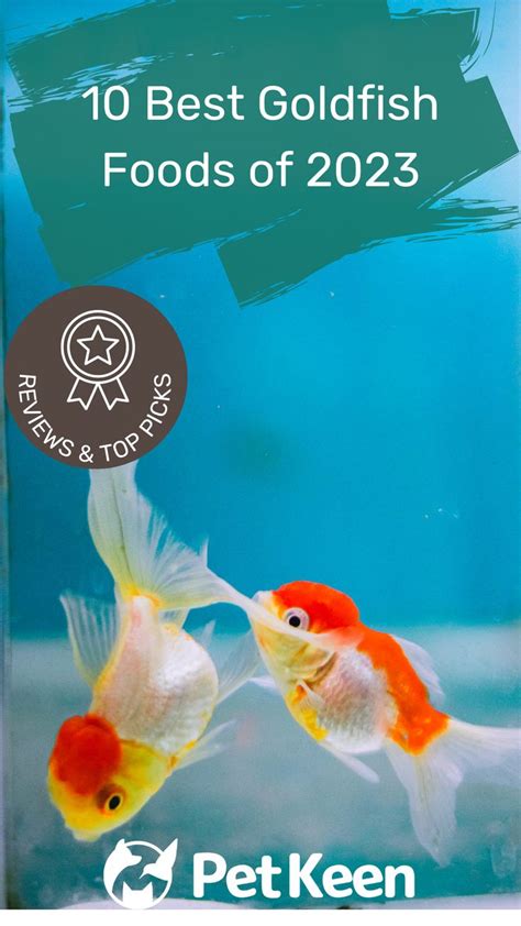 10 Best Goldfish Foods You Need to Try - Aquarium Co … - raincitystudios.com