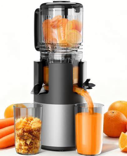10 Best Low Priced juicer Machines - Top Picks and … - raincitystudios.com