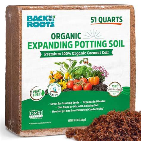 10 Best Organic Potting Soils for Healthier Plants - raincitystudios.com