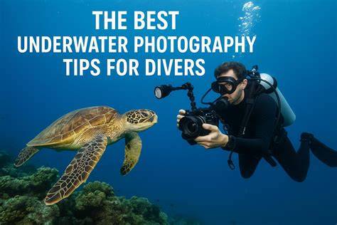 10 Best Underwater Photography Tips - Scuba Diver Mag - raincitystudios.com