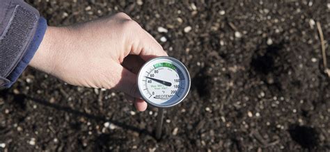 10 Best Compost Thermometers in 2024 Comprehensive Review