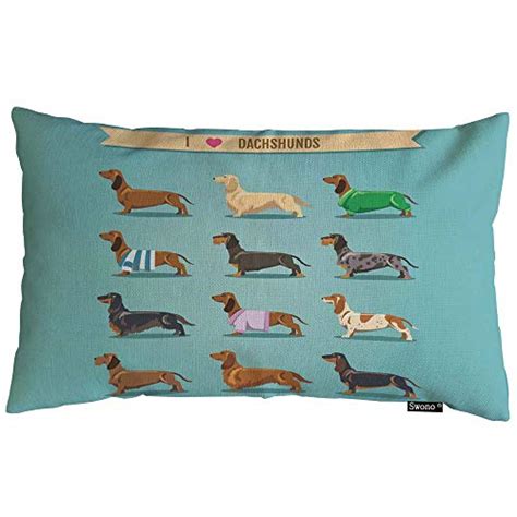 10 Best Couch For Dachshunds (Feb 2024 Update)