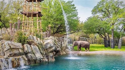 10 Best Dallas Zoo