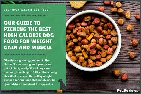 10 Best Dog Foods (High Calorie) to Gain Weight and Muscle in …