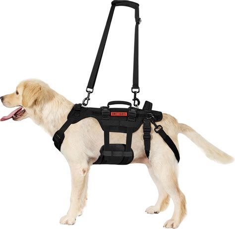 10 Best Dog Harness To Support Back Legs Pet supplies