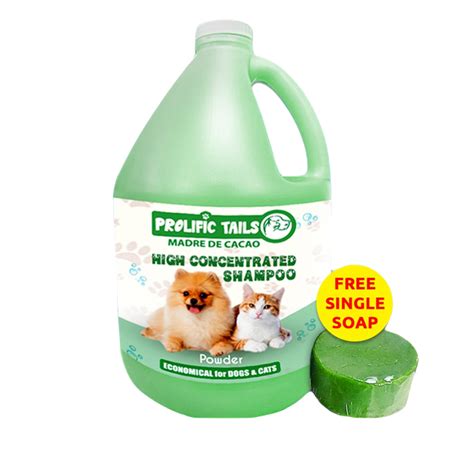 10 Best Dog Shampoos in the Philippines Best of Pets 2024