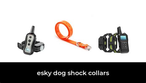 10 Best Esky Dog Shock Collars of 2024 - MSN