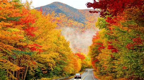 10 Best Fall Foliage Tours & Trips for Couples 2024/2024