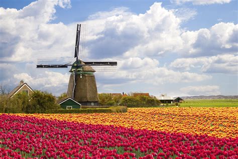 10 Best Holland Tours & Trips 2024/2024 (with 163 …