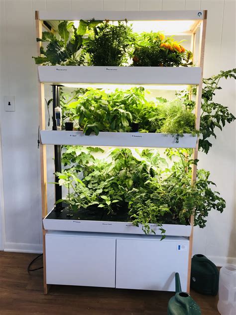 10 Best Indoor Hydroponic Gardens For Small Spaces, Per …