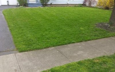 10 Best Lawn Care Services in Westerly, RI 2024 - Porch