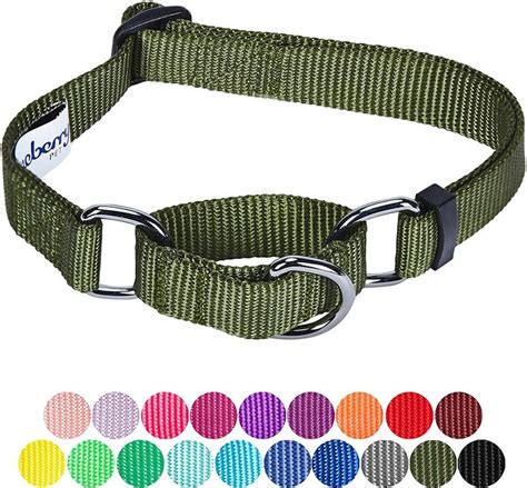 10 Best Martingale Collar For Dogs [ Updated - PetDogsWorld