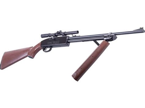 10 Best Pellet Guns For Hunting in 2019 Guide)
