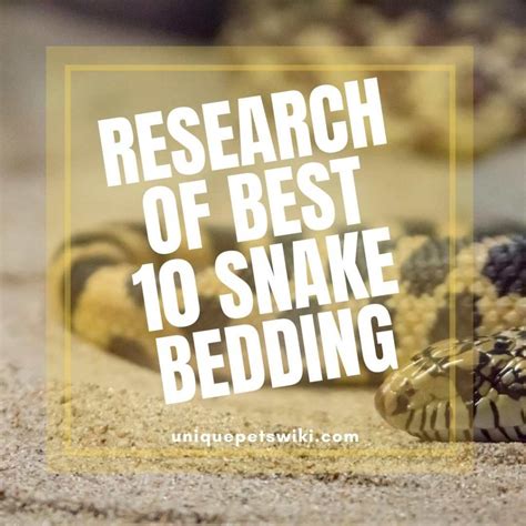 10 Best Snake Beddings & Their Reviews - UniquePetsWiki