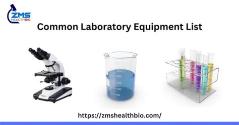10 Common Laboratory Equipment List 2025 - ZMS … - wintechmobiles.com