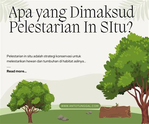 10 Contoh Pelestarian In Situ - raincitystudios.com