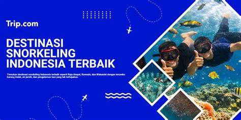 10 Destinasi Snorkeling Terbaik di Indonesia - raincitystudios.com