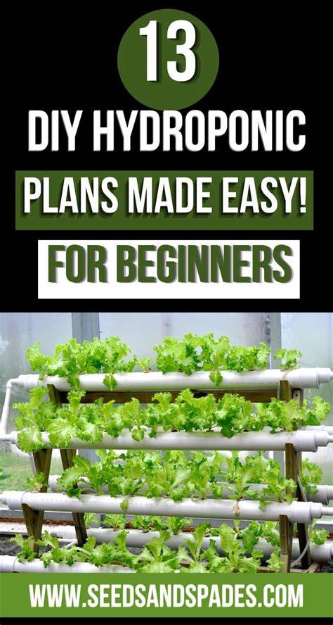 10 Easy DIY Hydroponic Plans For Beginners - The … - raincitystudios.com