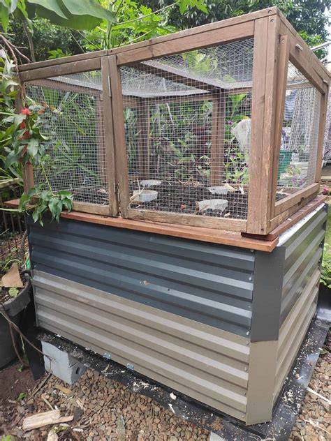 10 Easy Quail Enclosure Ideas for Any Backyard - raincitystudios.com