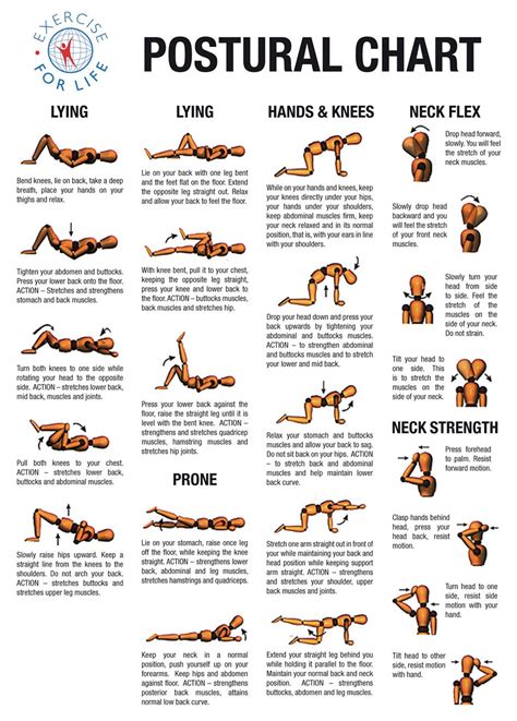 10 Graphs That Help You Improve Posture In No Time Exercises to