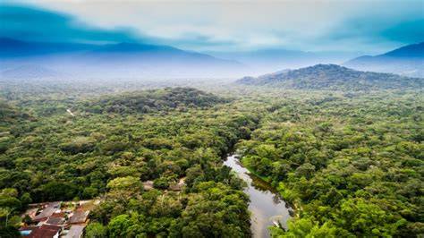 10 Incredible Rainforests Around The World Worth Visiting - raincitystudios.com
