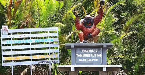 10 Indonesian Conservation Areas with Beautiful and Captivating - raincitystudios.com
