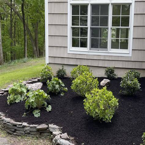 10 Low Maintenance Shrubs for Effortless Landscapes - raincitystudios.com