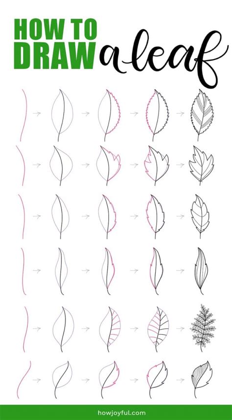 10 Leaf Drawing Step by Step Tutorials Smiling Colors