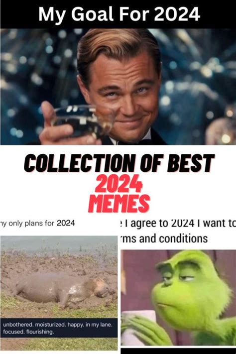 10 Memes from 2024 that helped through the Pandemic