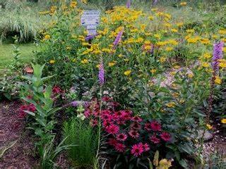 10 Perennials for a Pollinator Garden - Garden Design - raincitystudios.com