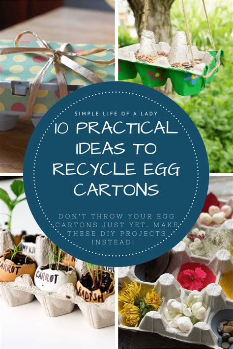 10 Practical Ideas to Recycle Egg Cartons - raincitystudios.com