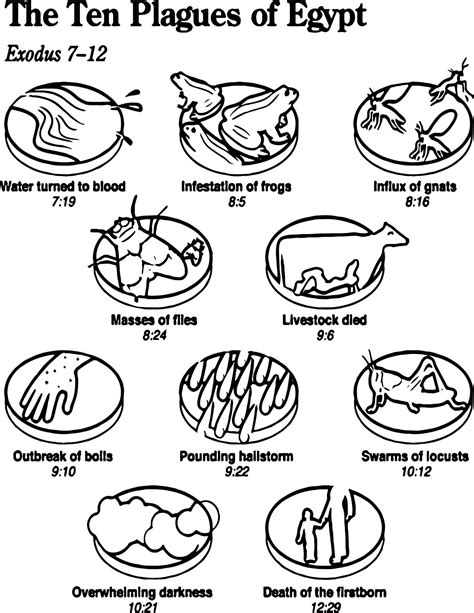 Rainbow High Coloring Pages
