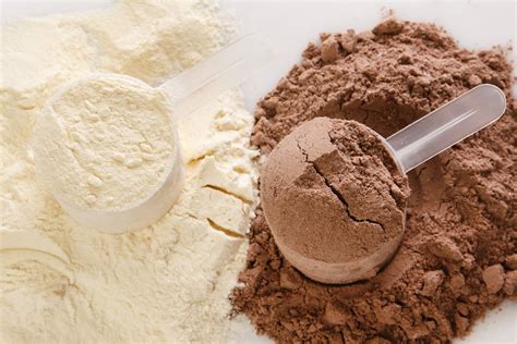 10 Quick Answers About Protein Scoops (For Beginners)